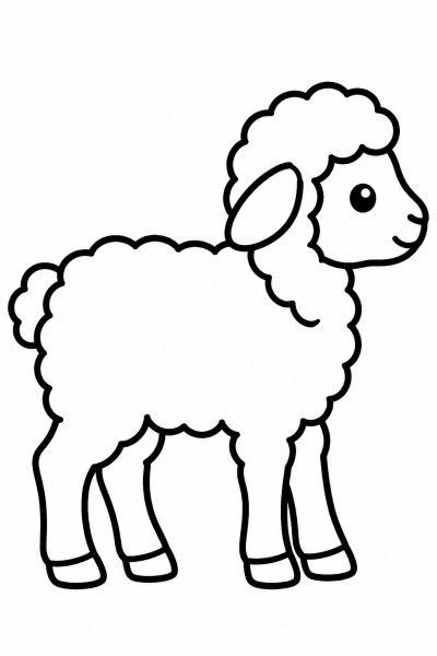 Színező egy oldalnézetből ábrázolt, álló báránykával és göndör gyapjával