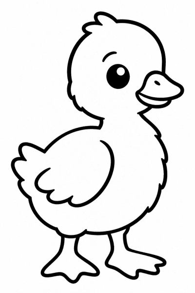 Színező egy aranyos, pihés kislibával, sima körvonalakkal