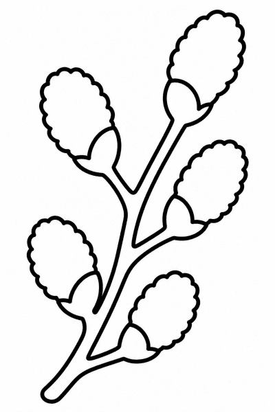 Színező egy fűzfaággal, rajta puha, bolyhos barkákkal